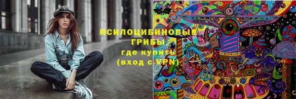 винт Бронницы